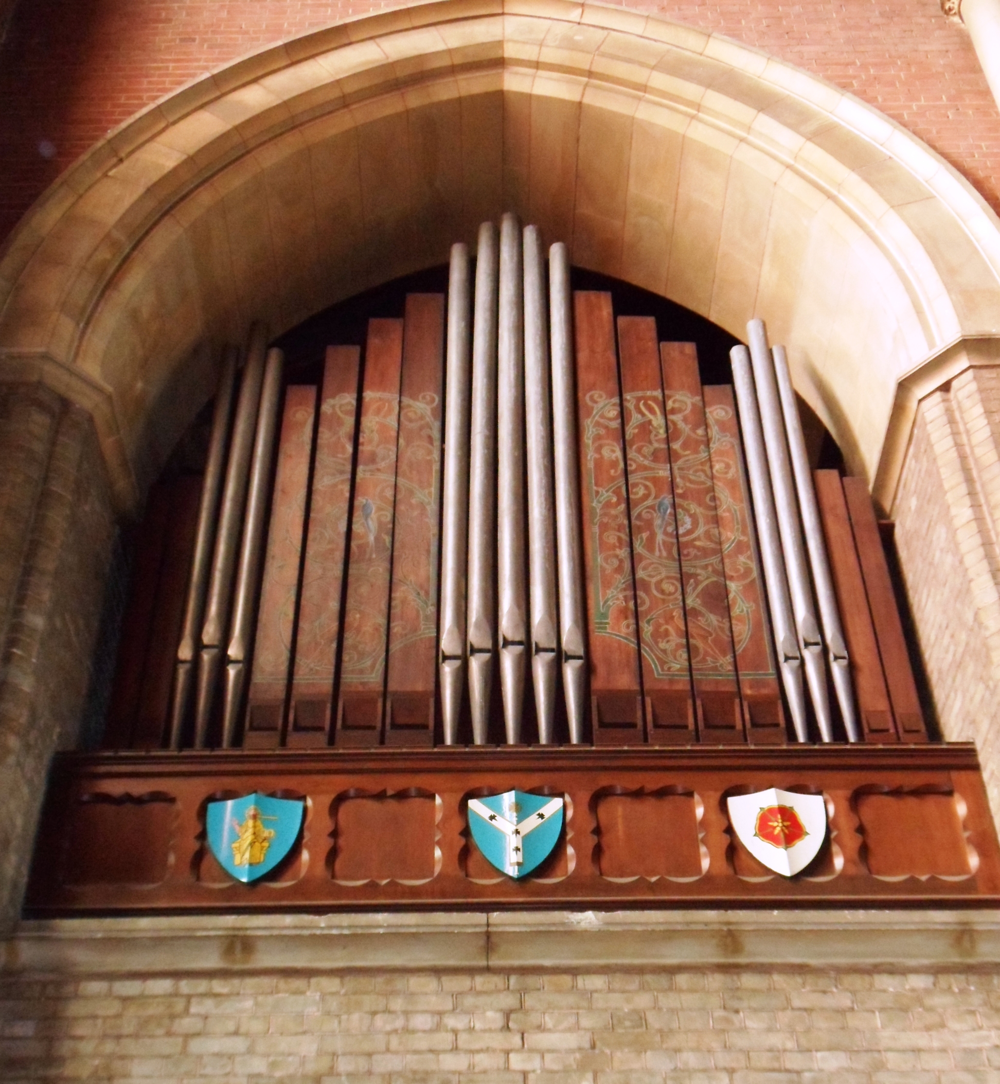 Organ picture